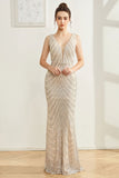 Sparkly Silver Mermaid V hals lang gallakjole