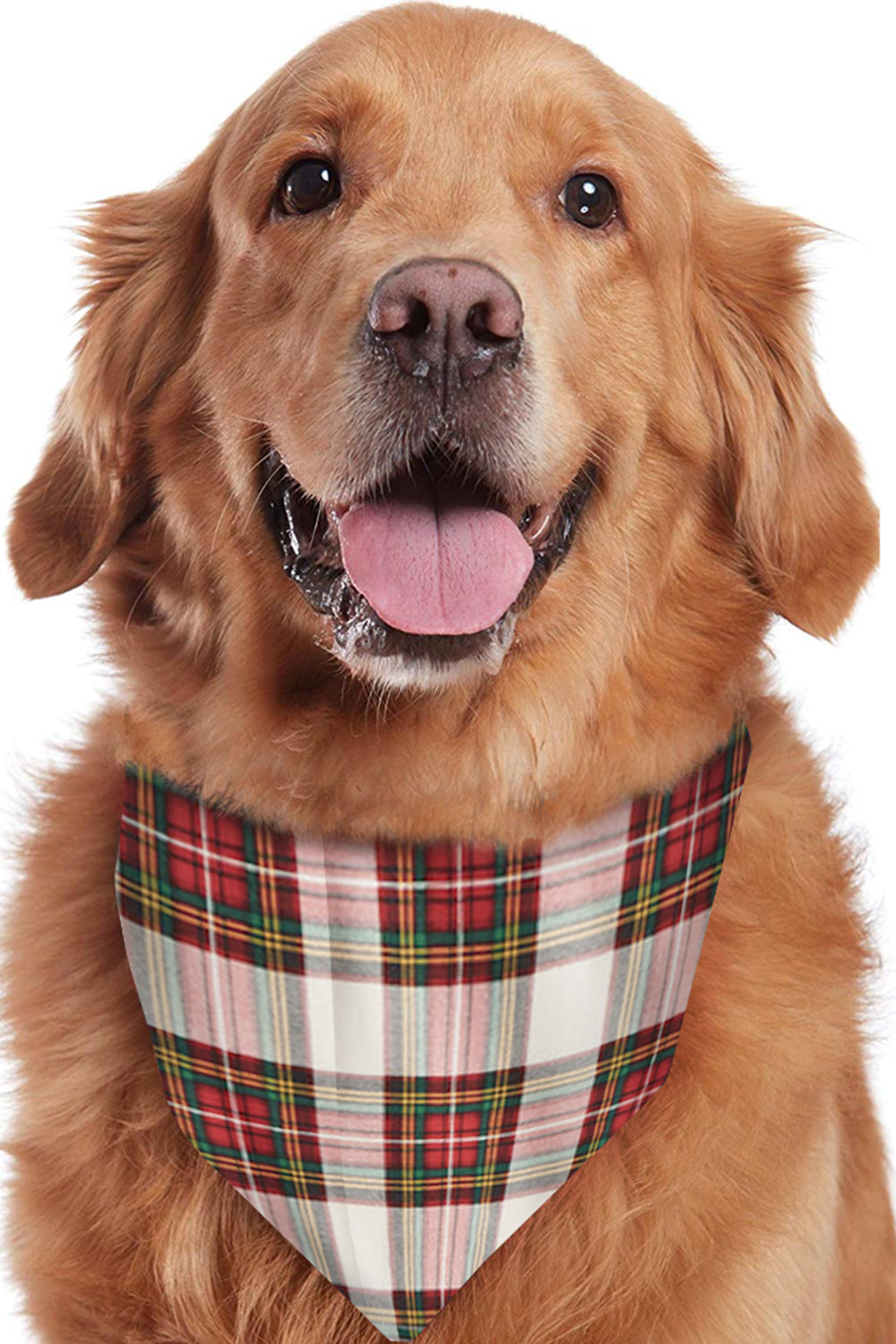 Julefamilie matchende pyjamas sæt rød plaidpyjamas