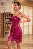 Skede Spaghetti Stropper Fuchsia Pailletter 1920'erne Festkjole med frynser