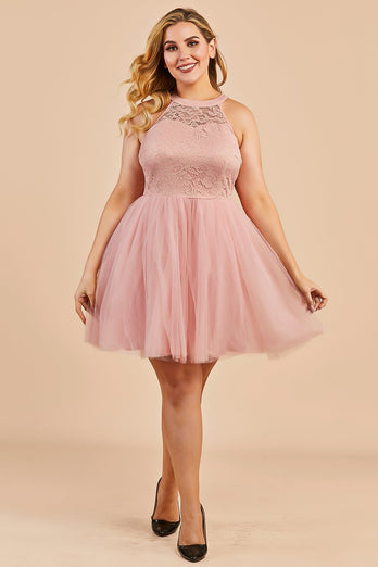 Blush Plus Size Party Dress