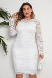 Hvid bodycon plus size midi blondekjole med lange ærmer