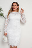 Hvid bodycon plus size midi blondekjole med lange ærmer