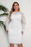 Hvid bodycon plus size midi blondekjole med lange ærmer