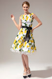 Vintage gynge 1950'erne kjole