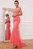 Coral Applique Tulle Prom Kjole